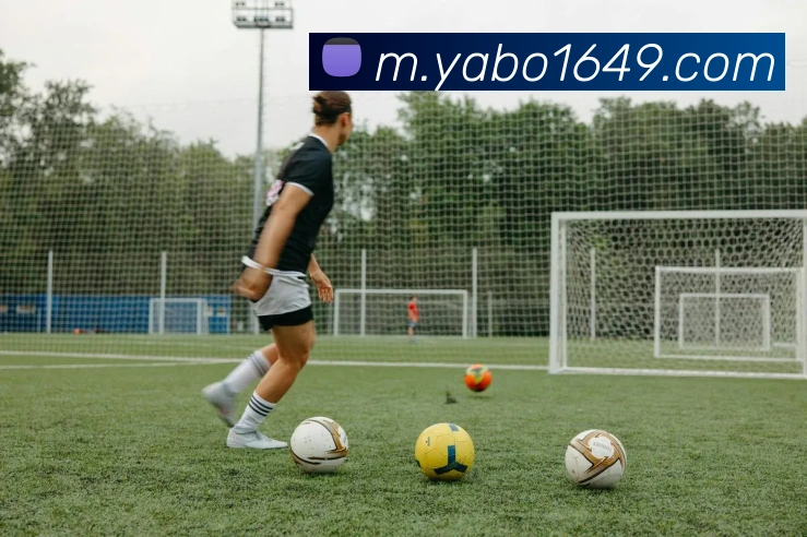 App Interface Preview